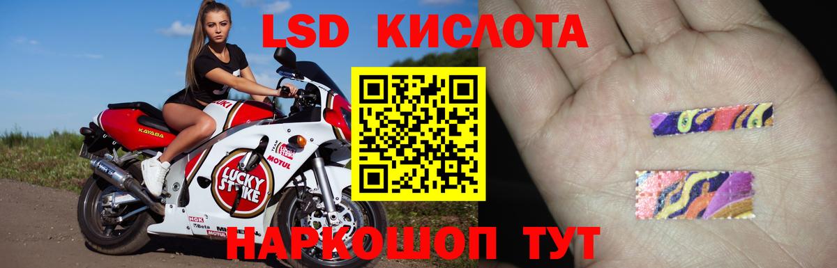 Новочебоксарск  ссылка на мегу ссылки  LSD-25 экстази ecstasy  Вход с VPN  LSD-25 экстази ecstasy 