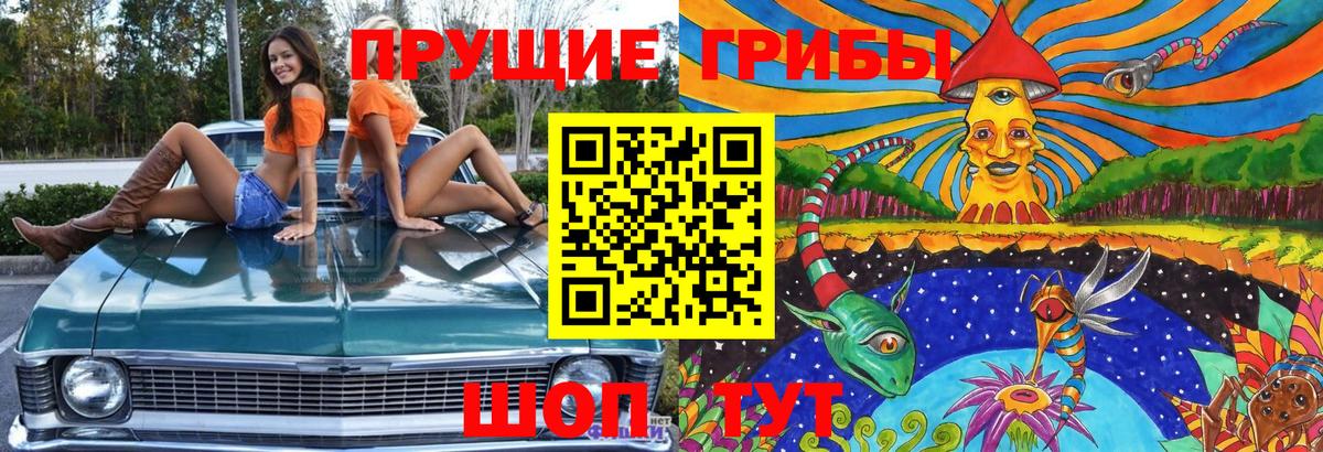 Галлюциногенные грибы Psilocybe Новочебоксарск